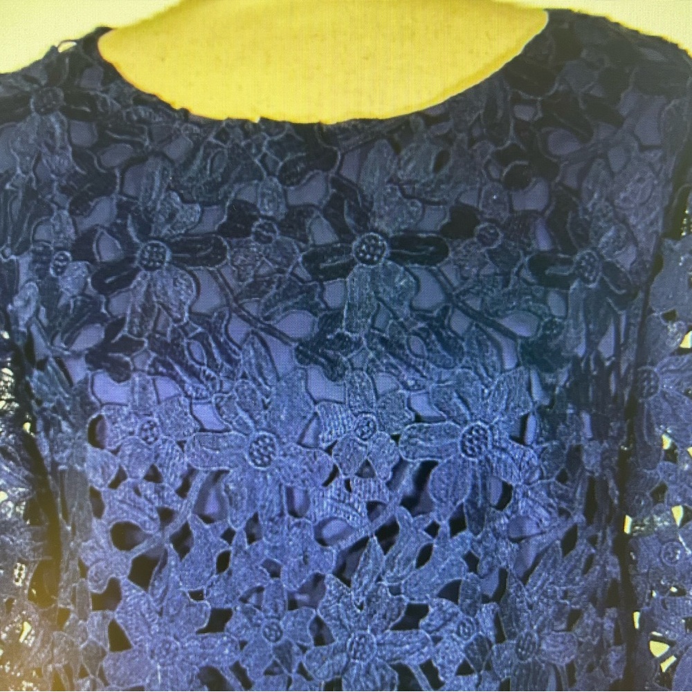 Cynthia Steffe Midnight Blue Lace Dress - Picture 4 of 6